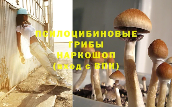тгк Наволоки