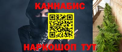 шишки Гагарин