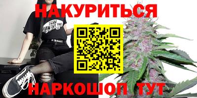 крисы Гай