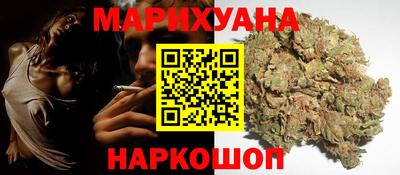 шишки Гагарин