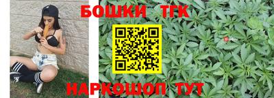 шишки Гатчина