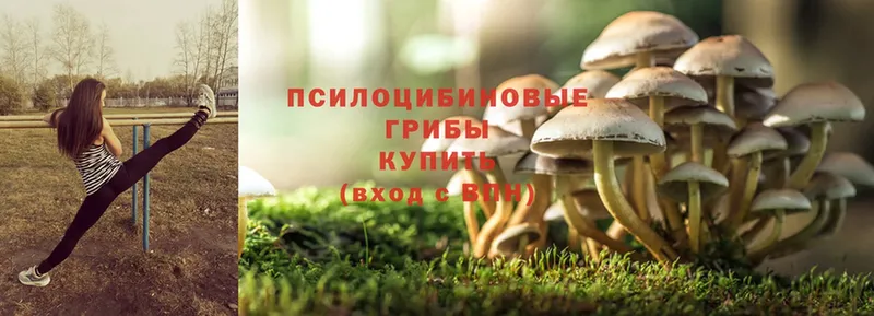 Галлюциногенные грибы MAGIC MUSHROOMS  mega как зайти  Черкесск 