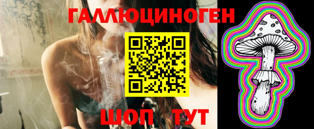 Псилоцибиновые грибы Psilocybe Черкесск