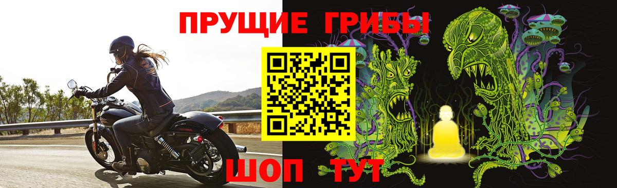 Галлюциногенные грибы прущие грибы  Черкесск  Псилоцибиновые грибы мухоморы 